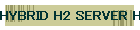 HYBRID H2 SERVER H2/20000ppm